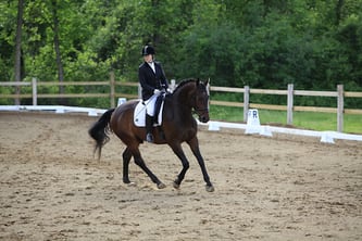Photograph from the June 5th, 2010 Silver Dressage Competition, taken by Cheryl Ogilvie