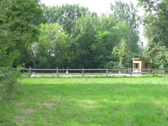 Dressage ring with judging booth - distant view