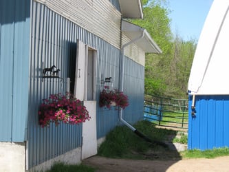 Horse stable and arena