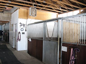 Stalls in horse stable