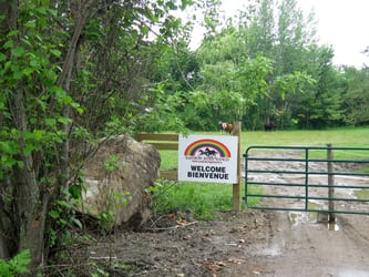 Gated entrance into paddock area