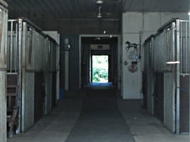 Indoor stalls