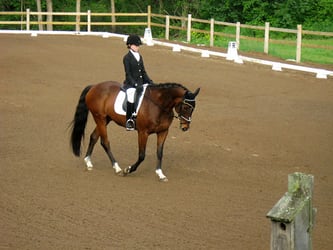 Image from the June 5th, 2010 Silver Dressage Competition