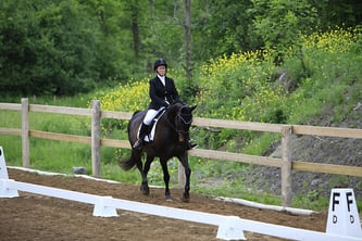 Photograph from the June 5th, 2010 Silver Dressage Competition, taken by Cheryl Ogilvie