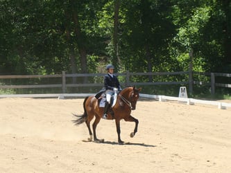 Image from the June 23-24, 2012 Silver and Gold Dressage Show