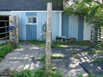 Stable and wash stations