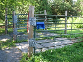 Wash stations