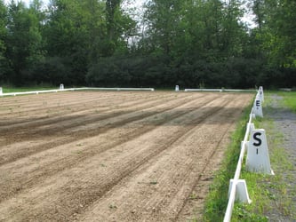 Dressage ring