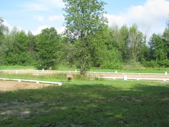 Dressage rings with gnat/fly collector trap set up between them